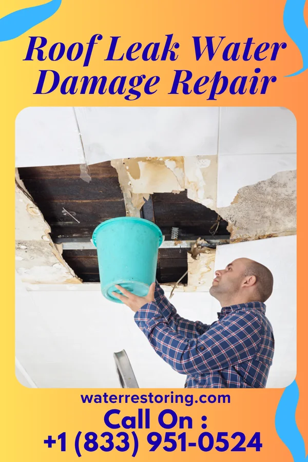 Roof Leak Water Damage Repair in Plains, KS